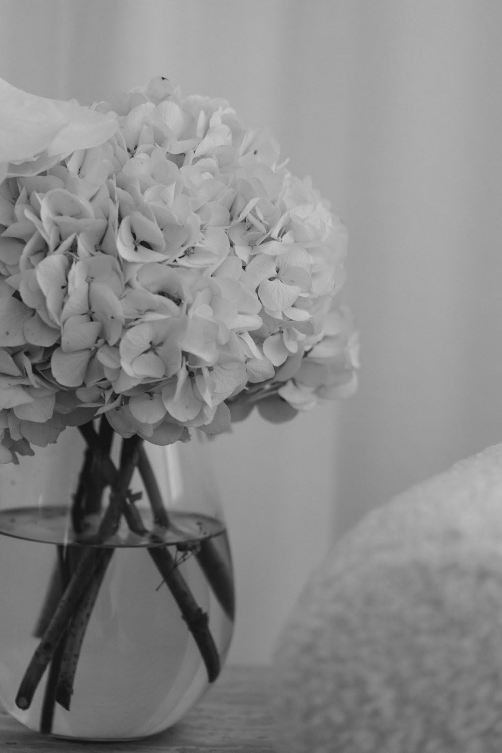 Hydrangea bouquet